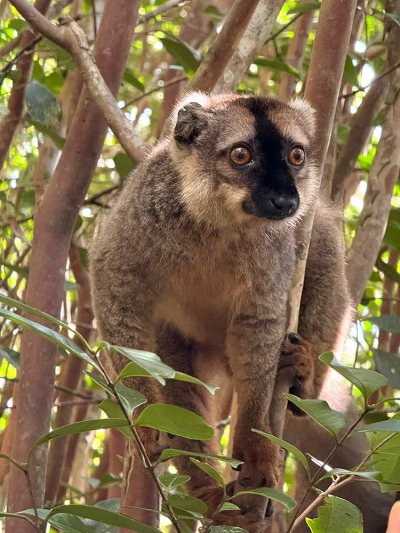 ทัวร์มาดากัสการ์ 12 วัน 9 คืน