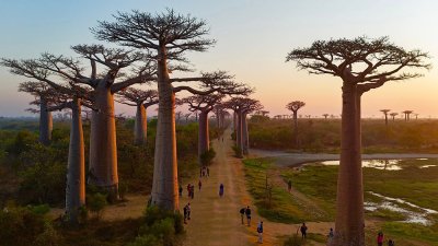 ทัวร์มาดากัสการ์ 12 วัน 9 คืน