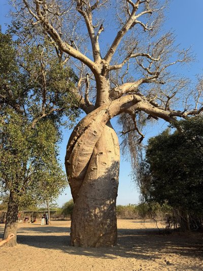 ทัวร์มาดากัสการ์ 12 วัน 9 คืน