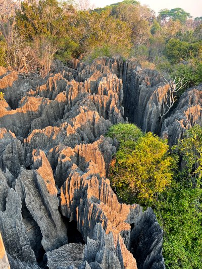 ทัวร์มาดากัสการ์ 12 วัน 9 คืน