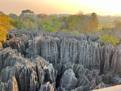 ทัวร์มาดากัสการ์ 12 วัน 9 คืน