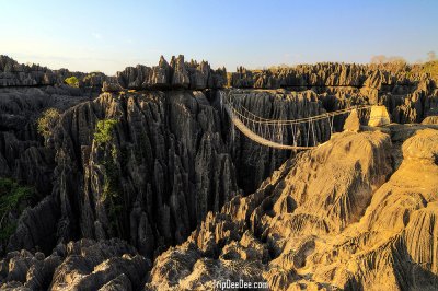 ทัวร์มาดากัสการ์ 12 วัน 9 คืน