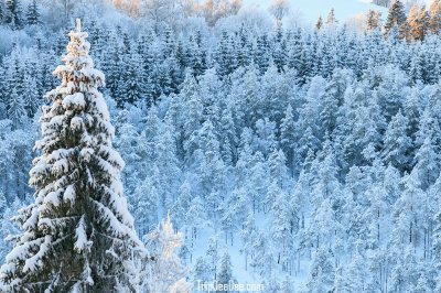 ทัวร์มองโกเลีย ฤดูหนาว 2569