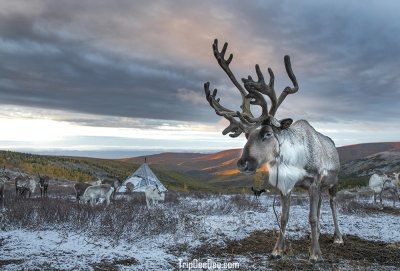 ทัวร์มองโกเลีย ฤดูหนาว 2569