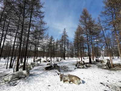 ทัวร์มองโกเลีย ฤดูหนาว 2569