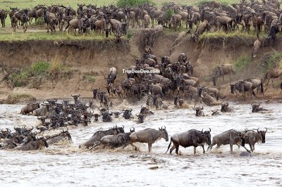 ทัวร์น้ำตกวิกตอเรีย เคนย่า แทนซาเนีย แซมเบีย ซิมบับเว