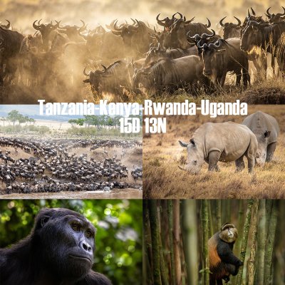 ทัวร์แอฟริกาตะวันออก แทนซาเนีย เคนย่า ยูกันดา รวันดา 2569