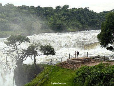 ทัวร์กอริลลา ยูกันดา รวันดา