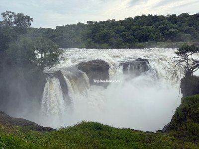 ทัวร์กอริลลา ยูกันดา รวันดา