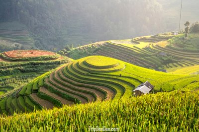 ทัวร์ซาปา นาขั้นบันไดมู่กางจ๋าย เวียดนาม 6 วัน 5 คืน