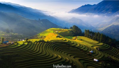 ทัวร์ซาปา นาขั้นบันไดมู่กางจ๋าย เวียดนาม 6 วัน 5 คืน