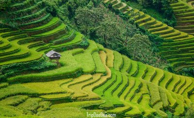 ทัวร์ซาปา นาขั้นบันไดมู่กางจ๋าย เวียดนาม 6 วัน 5 คืน