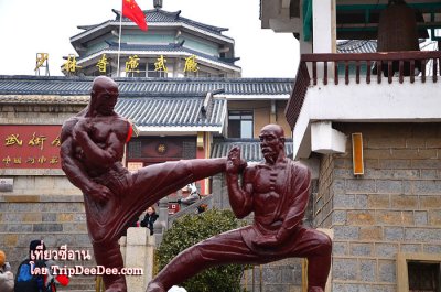 ทัวร์ซีอาน ลั่วหยาง เทศกาลดอกโบตั๋นบาน หยุนไถ่ซาน 6 วัน 5 คืน 2569