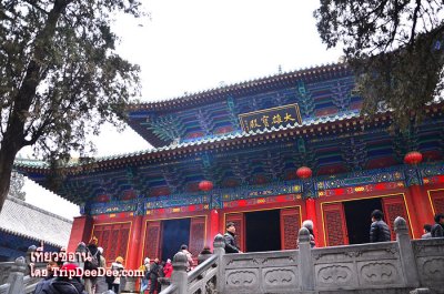 ทัวร์ซีอาน ลั่วหยาง เทศกาลดอกโบตั๋นบาน หยุนไถ่ซาน 6 วัน 5 คืน 2569