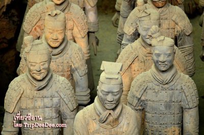 ทัวร์ซีอาน ลั่วหยาง เทศกาลดอกโบตั๋นบาน หยุนไถ่ซาน 6 วัน 5 คืน 2569