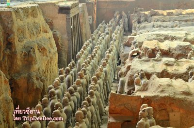 ทัวร์ซีอาน ลั่วหยาง เทศกาลดอกโบตั๋นบาน หยุนไถ่ซาน 6 วัน 5 คืน 2569