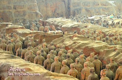 ทัวร์ซีอาน ลั่วหยาง เทศกาลดอกโบตั๋นบาน หยุนไถ่ซาน 6 วัน 5 คืน 2569