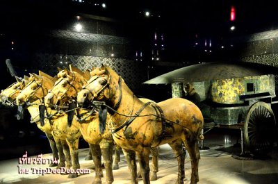 ทัวร์ซีอาน ลั่วหยาง เทศกาลดอกโบตั๋นบาน หยุนไถ่ซาน 6 วัน 5 คืน 2569