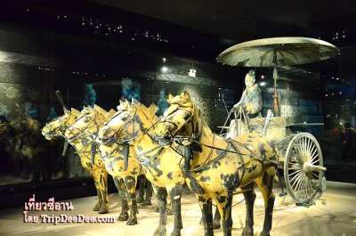 ทัวร์ซีอาน ลั่วหยาง เทศกาลดอกโบตั๋นบาน หยุนไถ่ซาน 6 วัน 5 คืน 2569