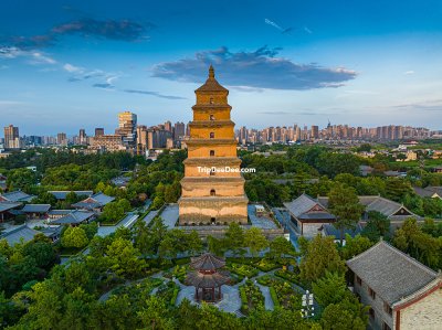 ทัวร์ซีอาน ลั่วหยาง เทศกาลดอกโบตั๋นบาน หยุนไถ่ซาน 6 วัน 5 คืน 2569