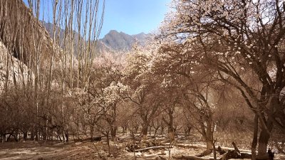 ทัวร์ซินเจียงใต้ 8 วัน 7 คืน เมษายน