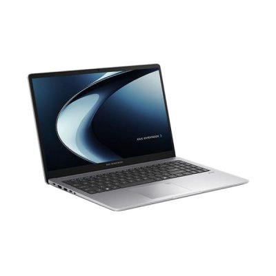 ASUS ExpertBook PM1503CDA-S70134WS (90NX09D1-M00530)