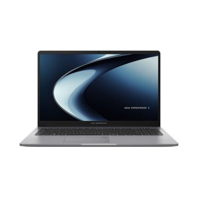ASUS ExpertBook PM1503CDA-S70134WS (90NX09D1-M00530)