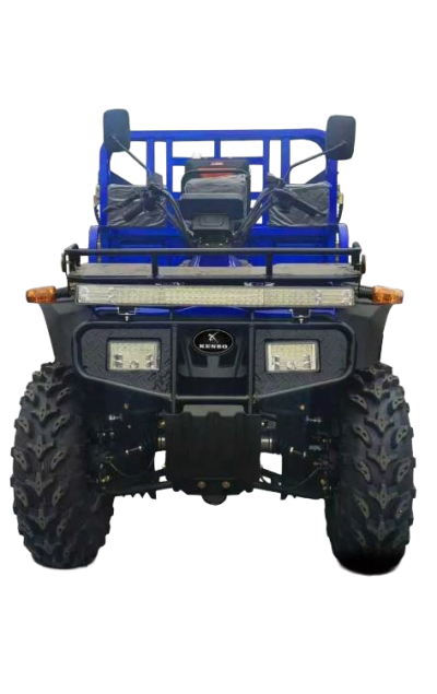ATV 300cc OFFROAD CARGO