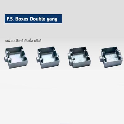 F.S.BOXES SINGLE GANG / DOUBLE GANG