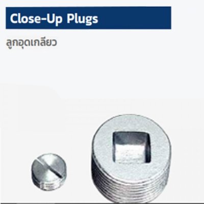 REDUCERS-Close up Plugs