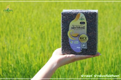 ข้าวไรซ์เบอรี่ ข้าว Riceberry ข้าวไรซ์เบอร์รี่ ข้าวไรซ์เบอรี่สุรินทร์ ข้าวไรซ์เบอร์รี่สุรินทร์ Surin RiceBerry 