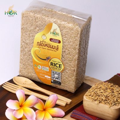ข้าวกล้องหอมมะลิสุรินทร์ ข้าวกล้องหอมมะลิอินทรีย์สุรินทร์ ข้าวกล้องหอมมะลิออร์แกนิกสุรินทร์  Surin Organic Jasmine Brown Rice 100%