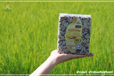 ข้าวผสมห้าสายพันธุ์ ข้าวผสมห้าสี  ข้าวรวมสารอาหาร ข้าวรวมคุณประโยชน์ ข้าวรวมวิตามิน Surin Mixed Organic Rice