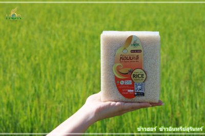ข้าวหอมมะลิสุรินทร์ ข้าวหอมมะลิอินทรีย์สุรินทร์ ข้าวหอมมะลิออร์แกนิกสุรินทร์  ข้าวหอมมะลิ Surin Hommali RiceSurin Organic Jasmine Rice 100%