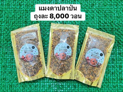 น้ำพริกแมงดาปลาป่น