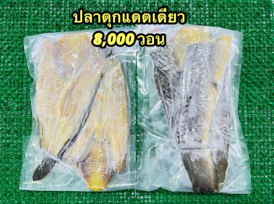 ปลาดุกแดดเดียว