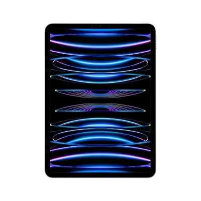 Apple iPad Pro 11-inch Wi-Fi 256GB with Standard glass (4th Gen)