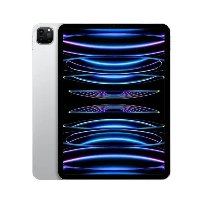 Apple iPad Pro 11-inch Wi-Fi 256GB with Standard glass (4th Gen)