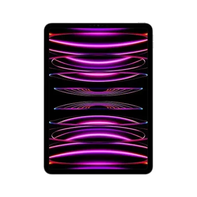 Apple iPad Pro 11-inch Wi-Fi 256GB with Standard glass (4th Gen)