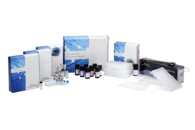 GlycoWorks Kits