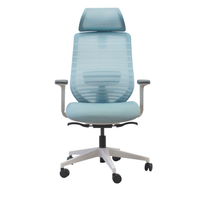 เก้าอี้สำนักงาน  BLUVA