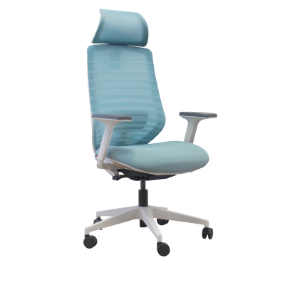 เก้าอี้สำนักงาน  BLUVA