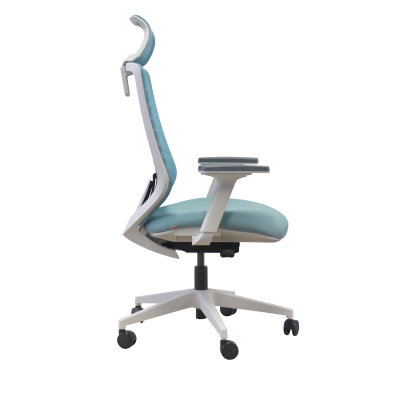 เก้าอี้สำนักงาน  BLUVA