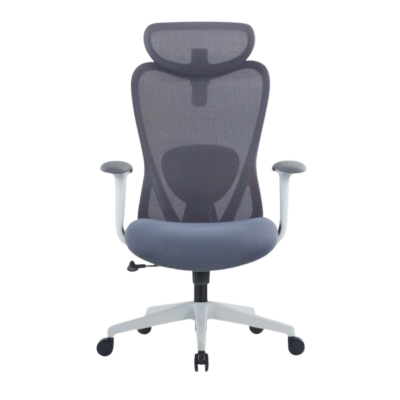 เก้าอี้สำนักงาน เก้าอี้เพื่อสุขภาพ PLUS 03 G
