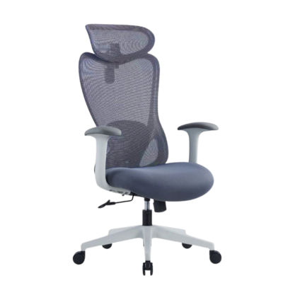 เก้าอี้สำนักงาน เก้าอี้เพื่อสุขภาพ PLUS 03 G