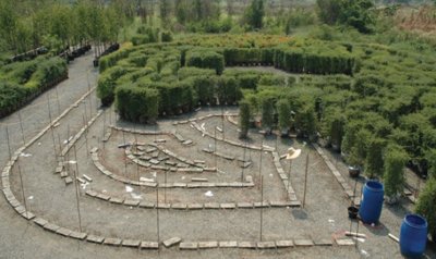 Export Maze
