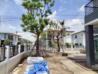บ้านคุณอิ๋ว พุทธมณฑล