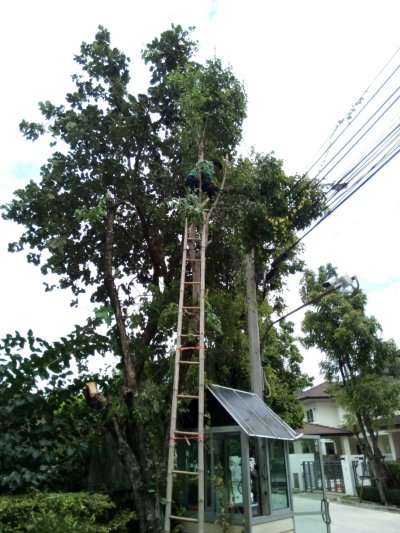 หมู่บ้านThe City แคราย