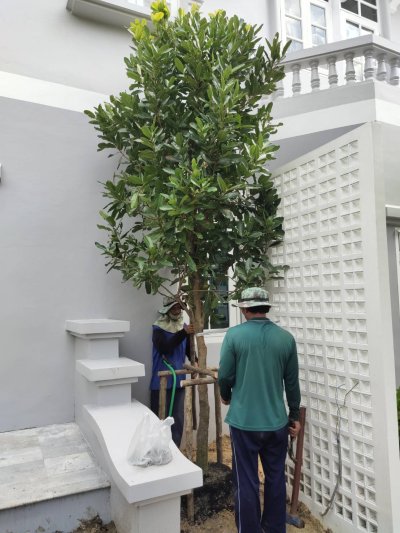 บ้านคุณนนท์ บางพลี