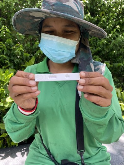 ฉีดวัคซีนและตรวจCovid-19